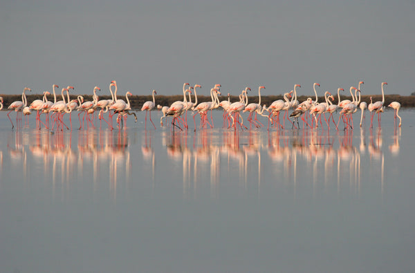  A Protected Land