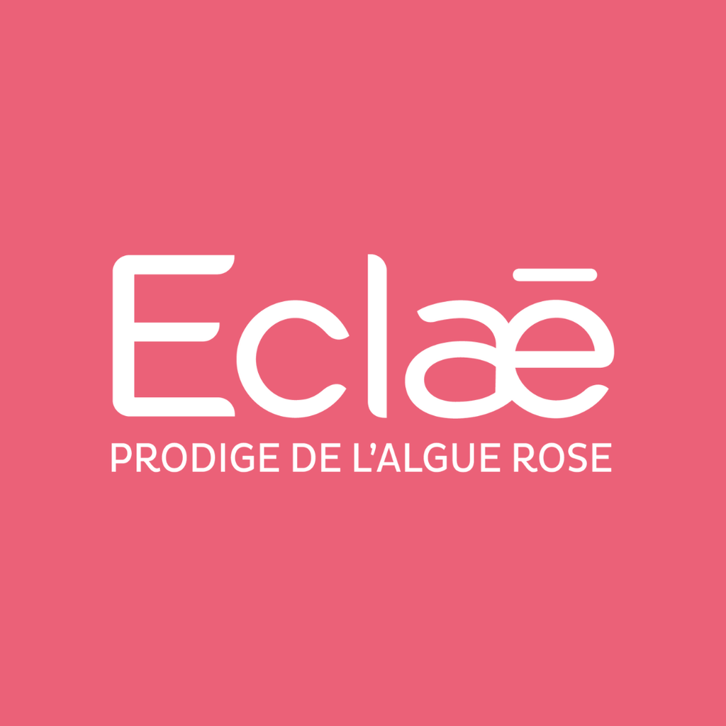 Brochure ECLAE - ECLAE